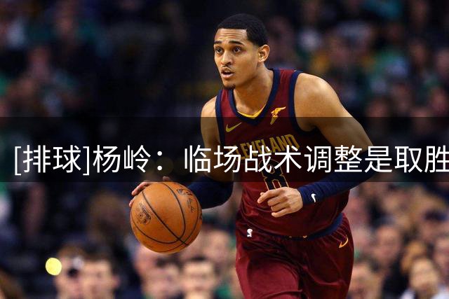 [排球]杨岭：临场战术调整是取胜的第一要素